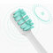 Набор насадок для зубной щетки MiJia Electric Toothbrush (3шт)